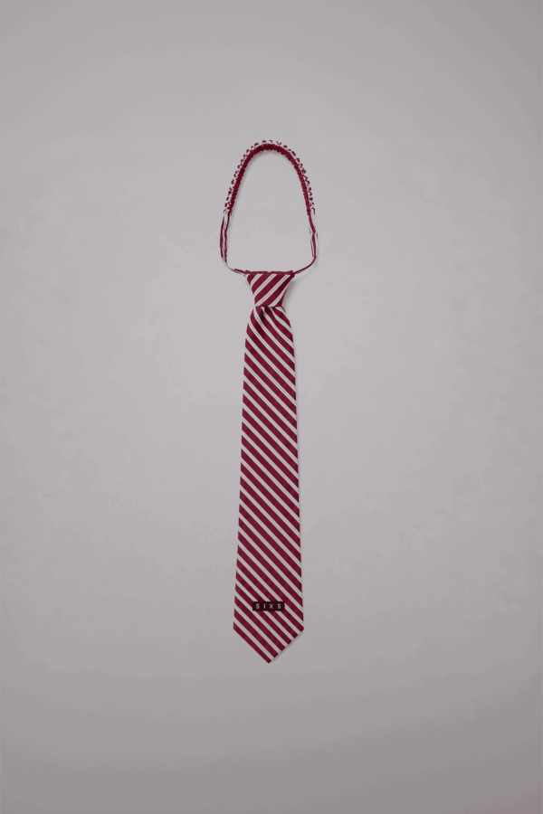 CORBATA #S308